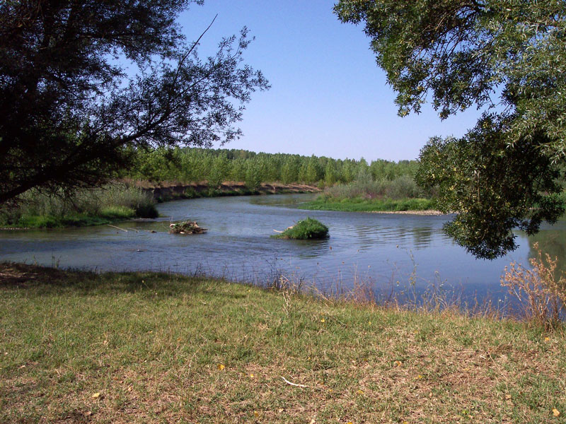 esla arrotos plantiog