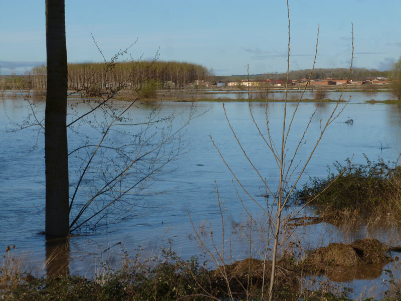 15gran-crecida3-4-14