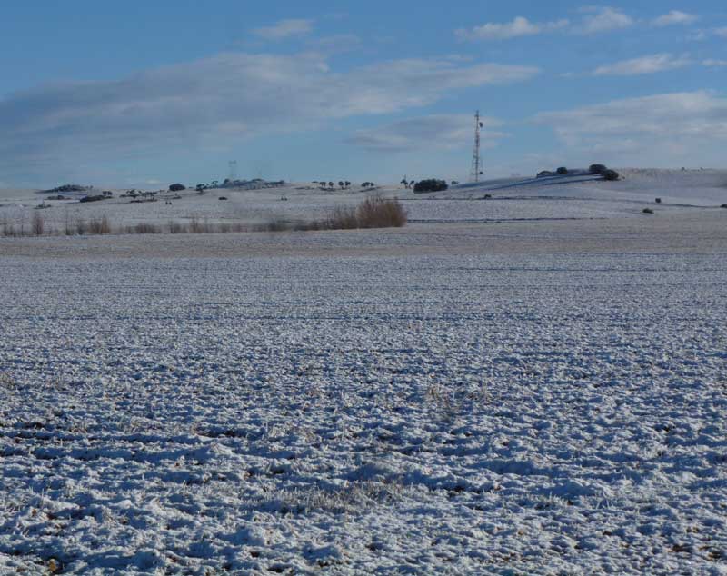 nieve2014-2